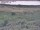 Webcam in Nieuwvliet-Bad, 5.9 mi away