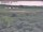 Webcam in Nieuwvliet-Bad, 10.2 km entfernt