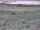 Webcam in Nieuwvliet-Bad, 12.5 km