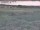 Webcam in Nieuwvliet-Bad, 16.7 km entfernt