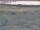 Webcam in Nieuwvliet-Bad, 19.8 km entfernt