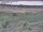 Webcam in Nieuwvliet-Bad, 44 km