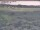 Webcam in Nieuwvliet-Bad, 10.4 mi away