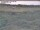 Webcam in Nieuwvliet-Bad, 9.2 km