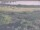 Webcam in Nieuwvliet-Bad, 27.1 km