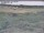 Webcam in Nieuwvliet-Bad, 19.8 km