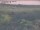 Webcam in Nieuwvliet-Bad, 54.5 km