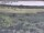 Webcam in Nieuwvliet-Bad, 21.9 km