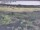Webcam in Nieuwvliet-Bad, 82.3 km