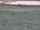 Webcam in Nieuwvliet-Bad, 9.3 km