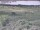 Webcam in Nieuwvliet-Bad, 5.9 mi away
