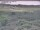 Webcam in Nieuwvliet-Bad, 8.5 mi away