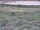Webcam in Nieuwvliet-Bad, 2.9 km