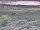 Webcam in Nieuwvliet-Bad, 7.5 km entfernt
