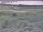 Webcam in Nieuwvliet-Bad, 8.3 mi away