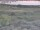 Webcam in Nieuwvliet-Bad, 3.5 km
