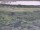 Webcam in Nieuwvliet-Bad, 16.7 km