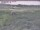 Webcam in Nieuwvliet-Bad, 23.1 km