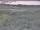 Webcam in Nieuwvliet-Bad, 20.1 km