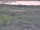 Webcam in Nieuwvliet-Bad, 12.4 km