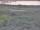 Webcam in Nieuwvliet-Bad, 19.6 km entfernt