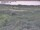 Webcam in Nieuwvliet-Bad, 20.1 km entfernt
