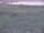 Webcam in Nieuwvliet-Bad, 7.5 km