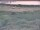 Webcam in Nieuwvliet-Bad, 26.5 mi away