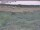 Webcam in Nieuwvliet-Bad, 11.5 km entfernt