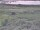 Webcam in Nieuwvliet-Bad, 4.8 mi away