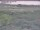 Webcam in Nieuwvliet-Bad, 1.1 mi away