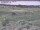 Webcam in Nieuwvliet-Bad, 19.8 km