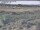 Webcam in Nieuwvliet-Bad, 10.6 mi away