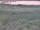 Webcam in Nieuwvliet-Bad, 14.3 km