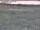 Webcam in Nieuwvliet-Bad, 19.8 km entfernt