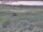 Webcam in Nieuwvliet-Bad, 7 mi away