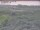 Webcam in Nieuwvliet-Bad, 9.2 km entfernt
