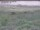 Webcam in Nieuwvliet-Bad, 7.5 km