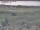 Webcam in Nieuwvliet-Bad, 20.1 km