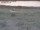 Webcam in Nieuwvliet-Bad, 12.4 km