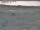 Webcam in Nieuwvliet-Bad, 12.5 km