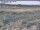 Webcam in Nieuwvliet-Bad, 10.6 mi away