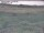 Webcam in Nieuwvliet-Bad, 54.5 km entfernt