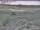 Webcam in Nieuwvliet-Bad, 19.7 km entfernt