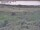 Webcam in Nieuwvliet-Bad, 8.9 km entfernt
