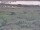 Webcam in Nieuwvliet-Bad, 8.3 mi away