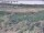 Webcam in Nieuwvliet-Bad, 11.5 km
