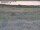 Webcam in Nieuwvliet-Bad, 7.5 km