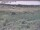 Webcam in Nieuwvliet-Bad, 4.4 km