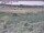 Webcam in Nieuwvliet-Bad, 2.9 km
